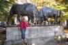 100_0237.JPG