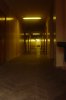 DSC01537.JPG