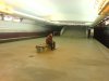 DSC00258.JPG