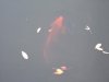 DSCF0429_resize.jpg