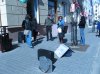 іііііііііііііііііііііііііііііі.jpg