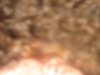 Filename=IMG_9632_resize.jpg
Filesize=145KiB
Dimensions=1204x903
Date added=Nov 19, 2007 IMG_9632_resize.jpg