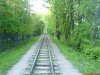DSC02934.JPG